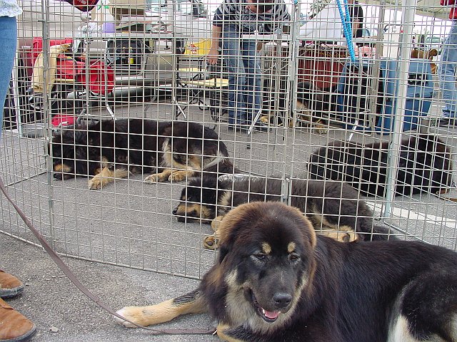 Immagine 017.jpg